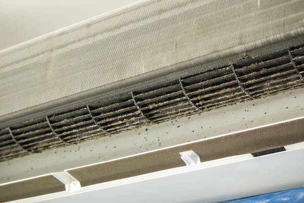 Best Home Air Vent Cleaning  in Ham Lake, MN