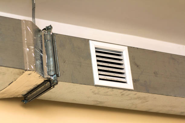 Best Air Duct Cleaning Company Near Me  in Ham Lake, MN
